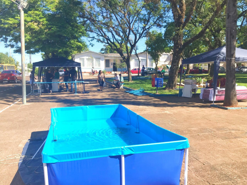 FEIRA DO PEIXE SUPEROU EXPECTATIVAS